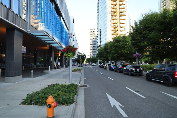 S Curry Moody To River 001