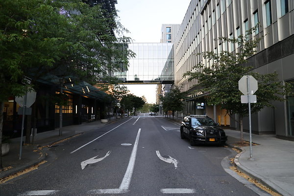 S Whitaker Moody To River 002