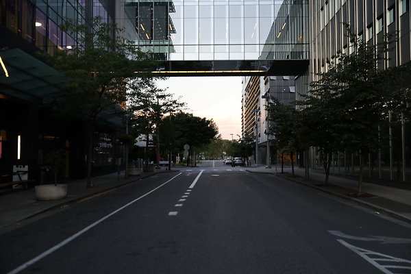 S Whitaker Moody To River 014