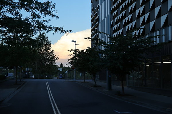 S Whitaker Moody To River 039