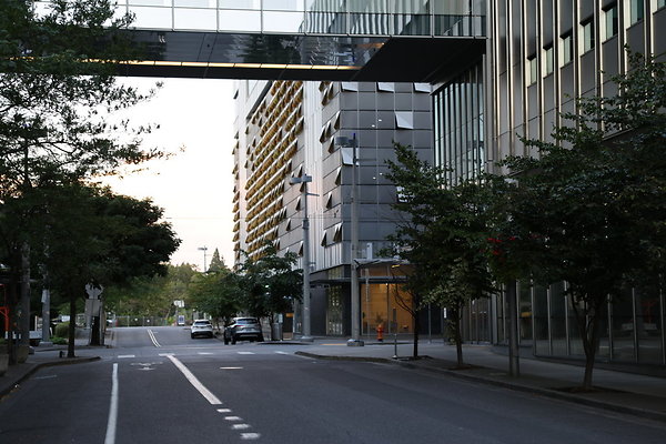 S Whitaker Moody To River 005