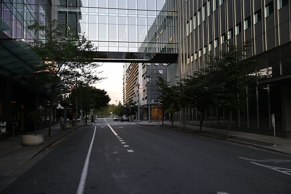 S Whitaker Moody To River 007