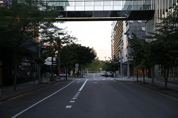 S Whitaker Moody To River 015