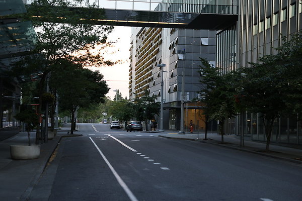 S Whitaker Moody To River 003