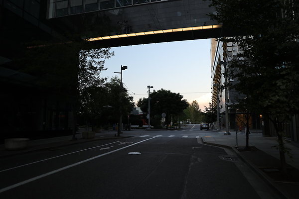 S Whitaker Moody To River 021