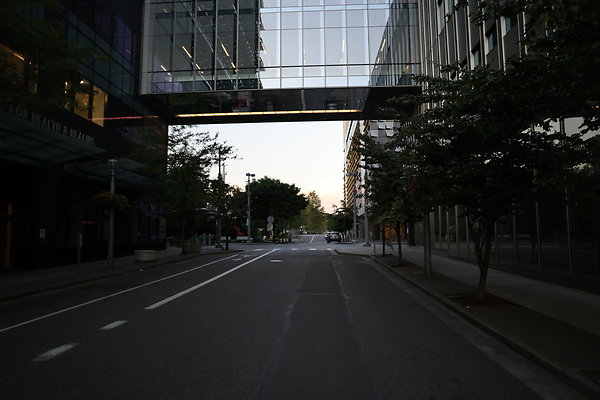 S Whitaker Moody To River 017