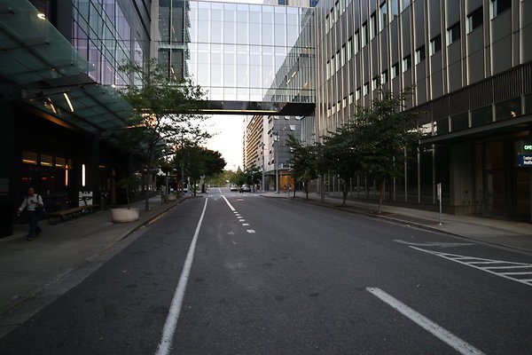 S Whitaker Moody To River 008