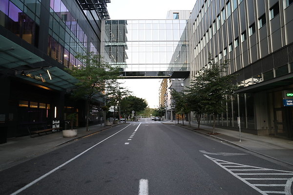 S Whitaker Moody To River 013