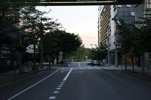 S Whitaker Moody To River 016