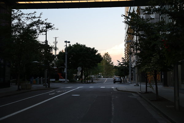 S Whitaker Moody To River 019