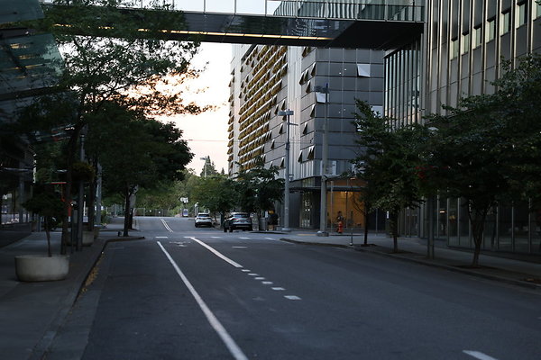 S Whitaker Moody To River 004