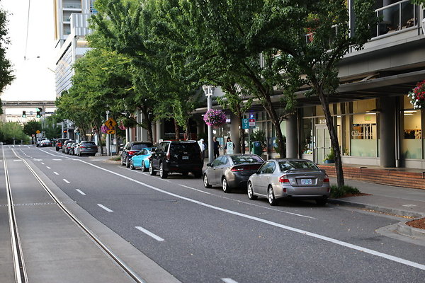 S Bond Gaines Whitaker 010