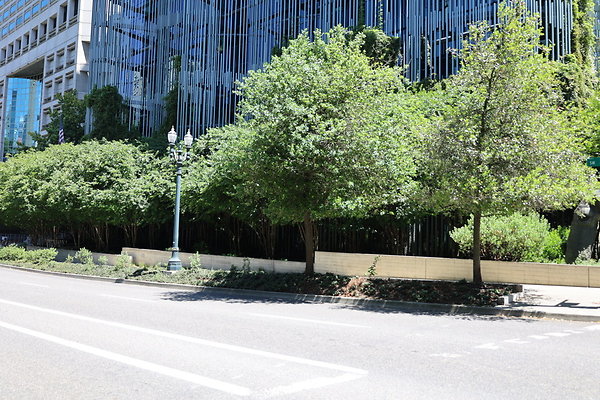 Green Federal Bldg  018