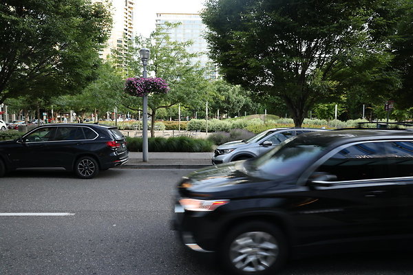 S Curry River To Moody 064