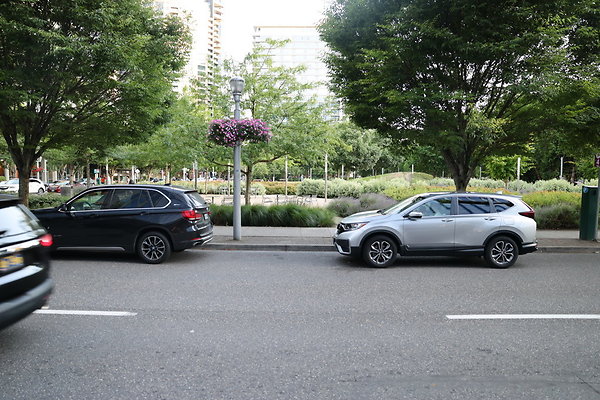 S Curry River To Moody 069