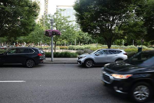 S Curry River To Moody 063