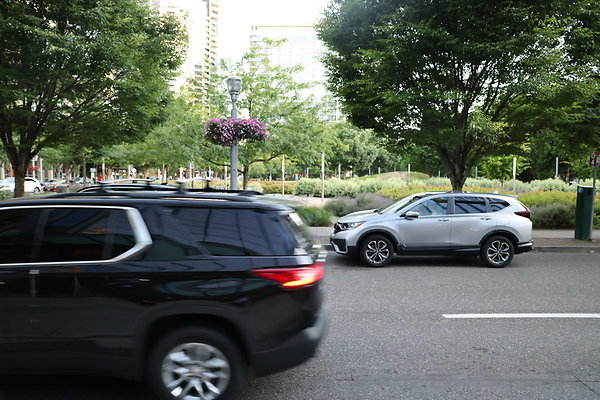 S Curry River To Moody 067