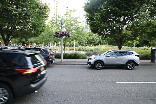 S Curry River To Moody 068