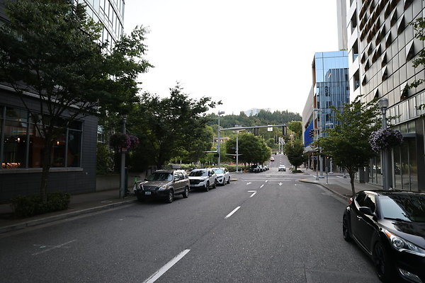 S Curry River To Moody 020