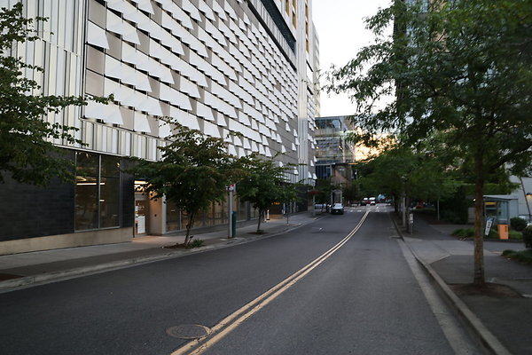 S Whitaker River To Moody  006