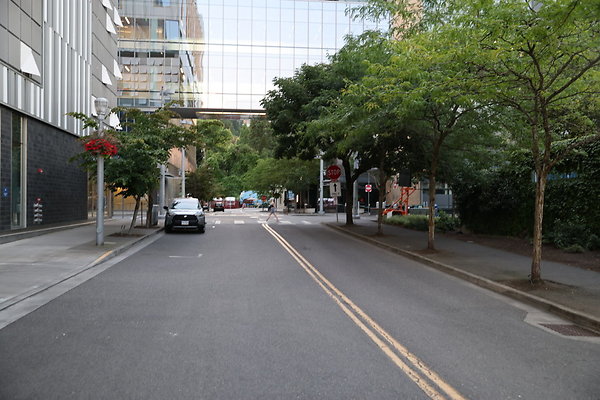 S Whitaker River To Moody  018