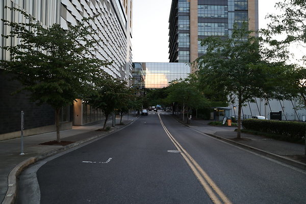 S Whitaker River To Moody  002