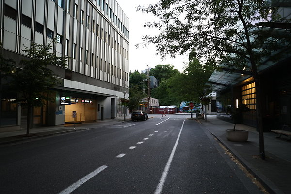 S Whitaker River To Moody  041