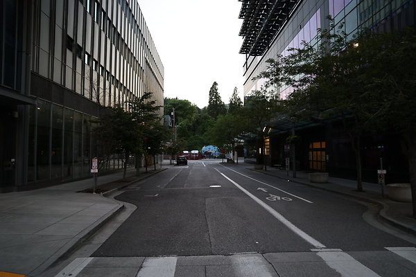 S Whitaker River To Moody  033