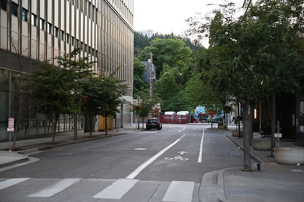 S Whitaker River To Moody  031