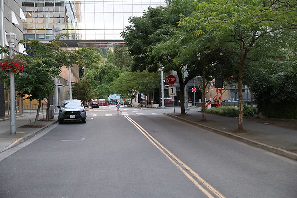 S Whitaker River To Moody  019