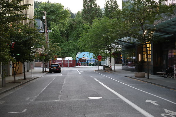 S Whitaker River To Moody  036