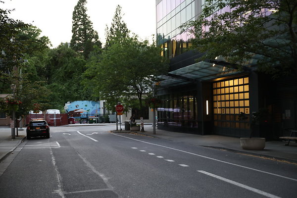 S Whitaker River To Moody  040