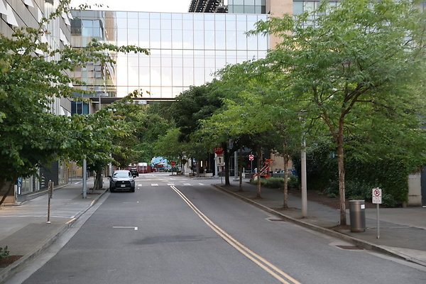 S Whitaker River To Moody  012