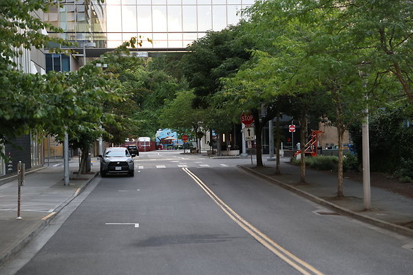 S Whitaker River To Moody  013