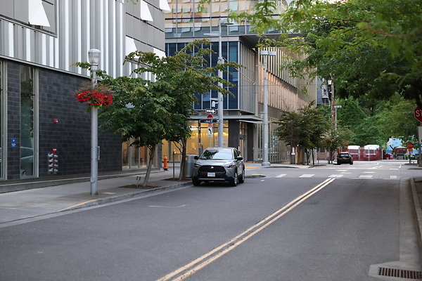 S Whitaker River To Moody  016