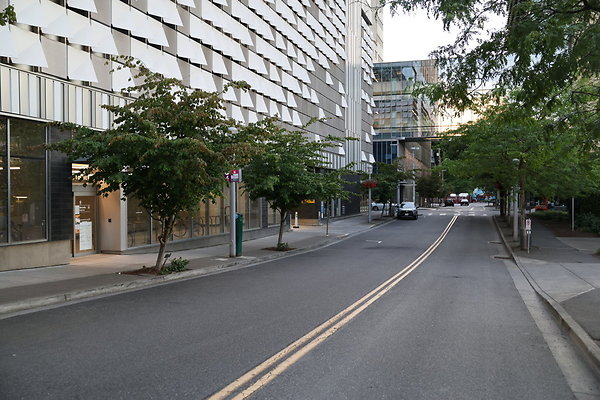 S Whitaker River To Moody  007