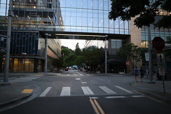 S Whitaker River To Moody  027