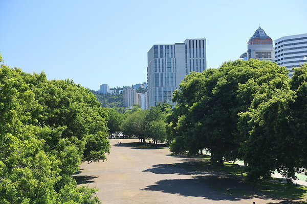 W Morrison Br East 045