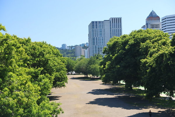 W Morrison Br East 046