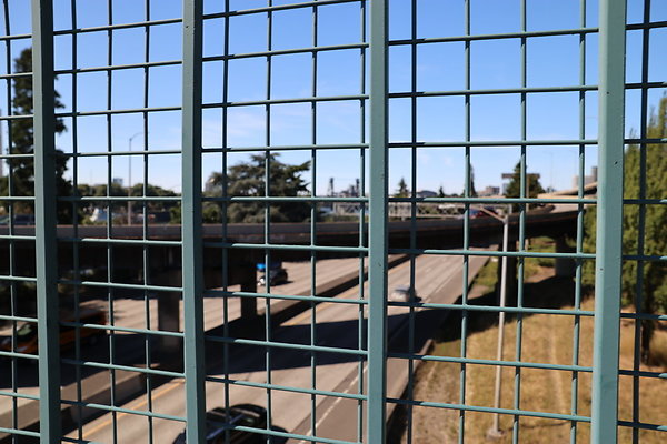 W Morrison Br West 011