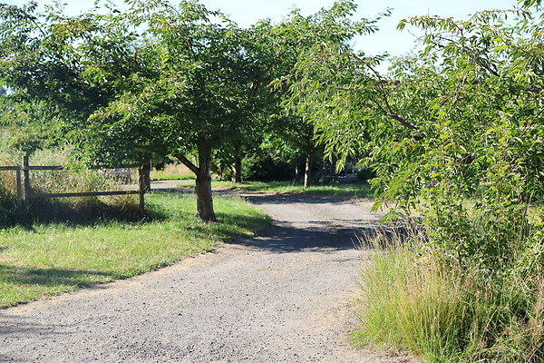 Croft Farm 009
