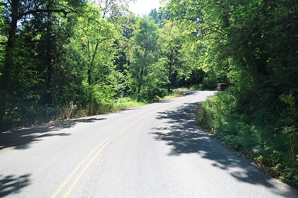 McNamee Rd 008