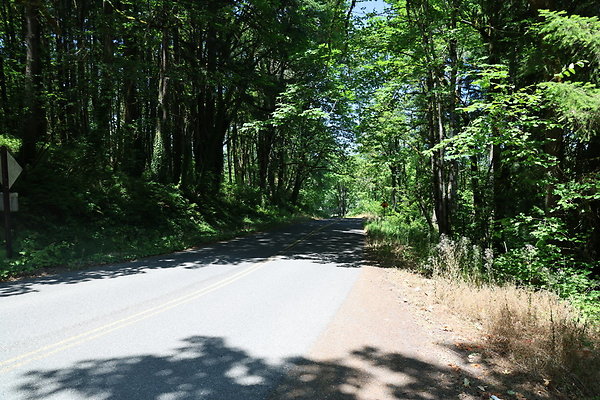 McNamee Rd 001