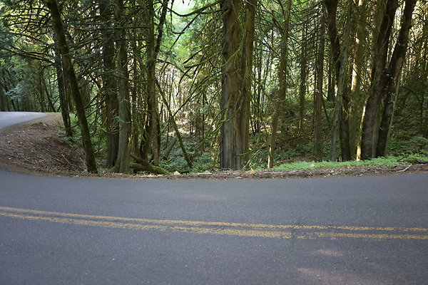 NE Haugen Rd 038