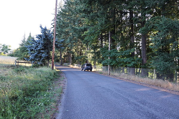SW McConnell Rd 008