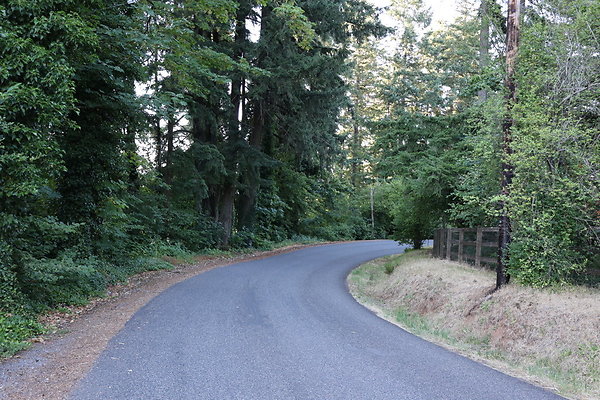 SW McConnell Rd 072