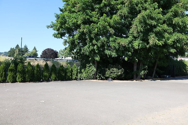 Steamboat Landing 090