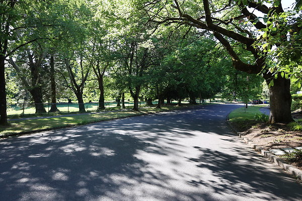 03 Crystal Springs Blvd SE 27th to Reed College Place