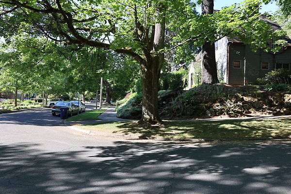 Crystal Springs NS 008