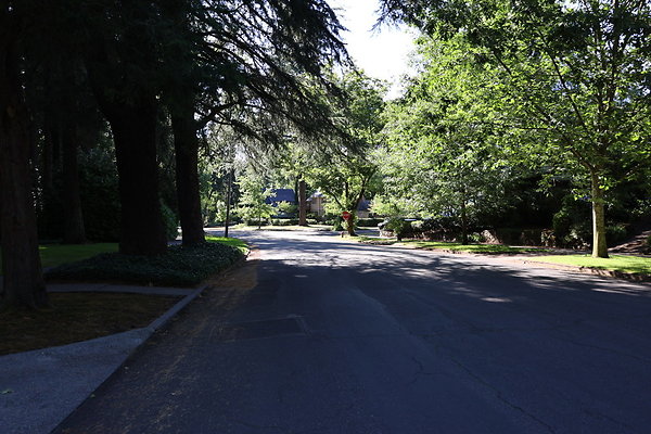 Crystal Springs NS 057